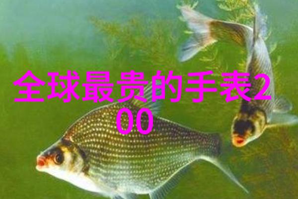 2022短发最新发型女图片我来教你如何在社交媒体上让你的朋友们都爱不释手