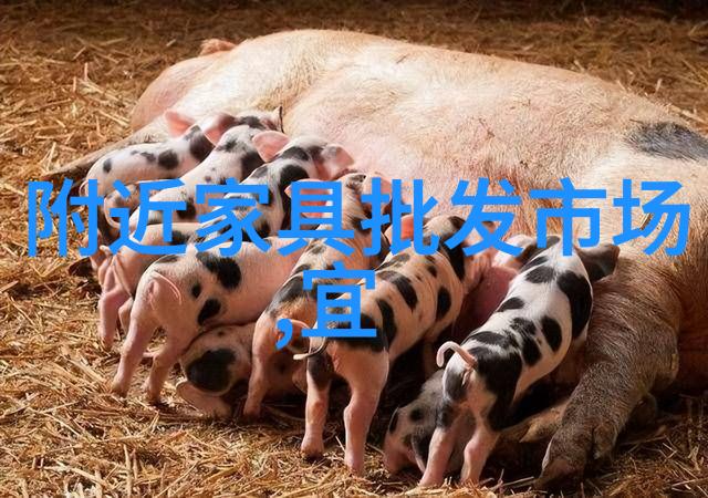 华夏崛起梦想的翅膀与时代的潮流