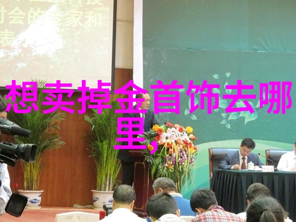 女生说PY是什么意思-解密PY背后的文化符号与情感表达
