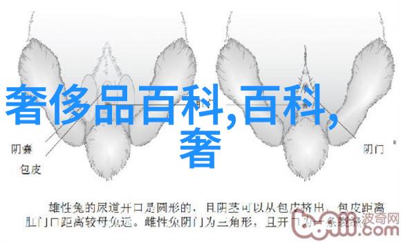 坐下来准备好了吗让我们开始这场视觉对话