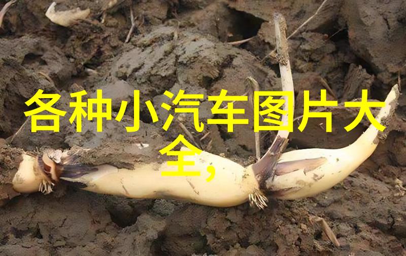 男士衣服怎么搭配穿出你的酷帅风范