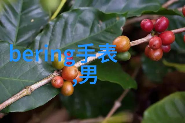 懒人专用的自动茶具套装颠覆你的观念泡茶原来也能这样有趣