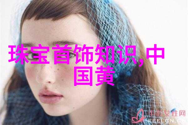 我是女公安局长夜晚的守护者