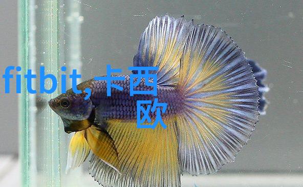 张艺谋前妻幕后花旦的故事