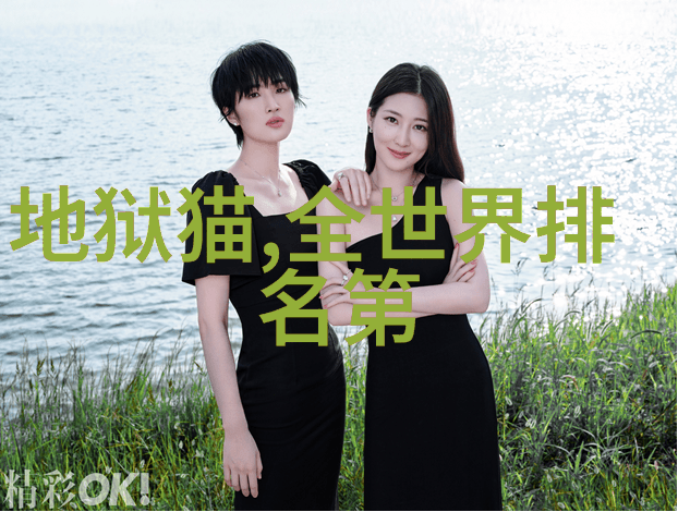 曼卡龙的许愿池MCLON的时尚之选有内涵的珠宝店新年的贵族礼物