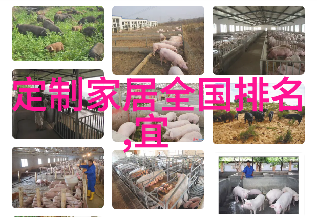 这几种植物不要扔比绿萝还好打理款款一个月爆盆