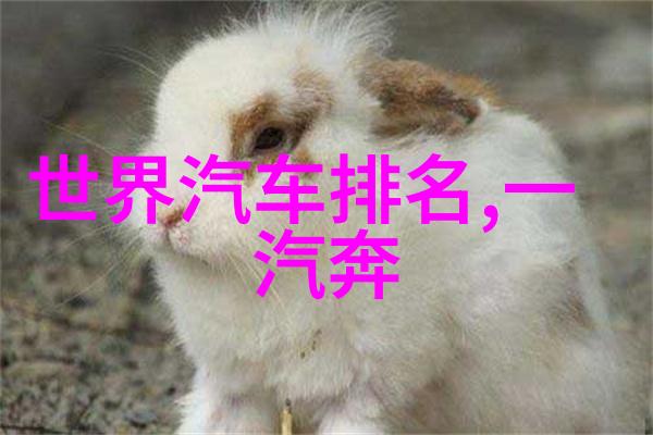 仙气四溢两边横马尾带你走进儿童时尚之旅