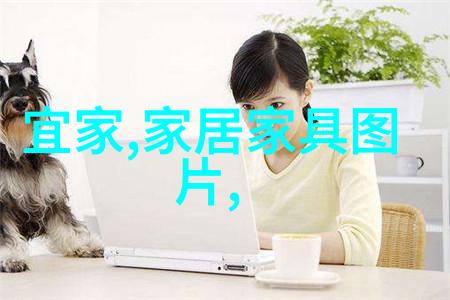 地摊的生态系统