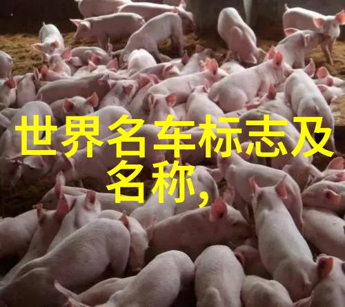 40岁短发多种款式的时尚挑战