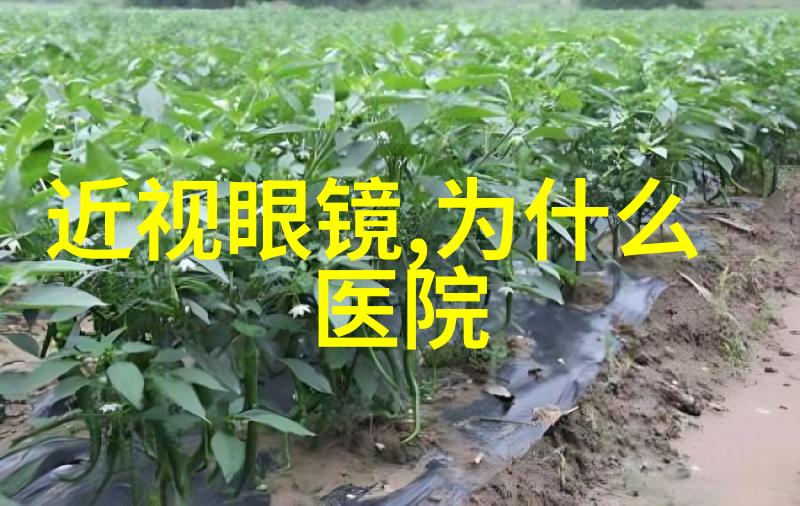 官方劳力士旗舰店新品发布Slenderline 纤薄系列腕表梅花表推出新潮流