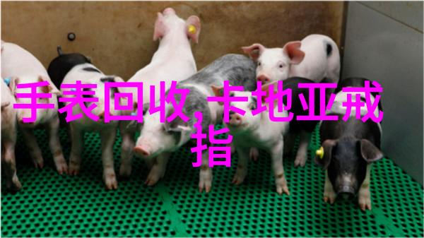 轻松变身时尚达人适合40岁人的各种短发样式