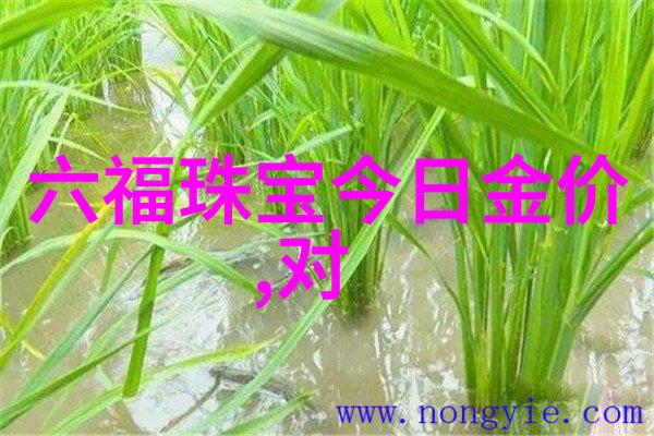 尼尚我和尼尚的故事从初识到深交