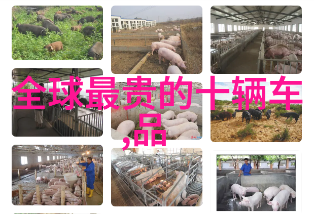 越海BY提灯小豆子我的迷失与寻觅