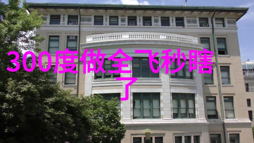 探索标准小飞机头背后的设计理念和历史意义