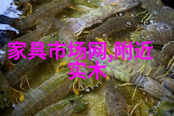 暌违txt我是如何在深夜里追寻那些消失的文本的