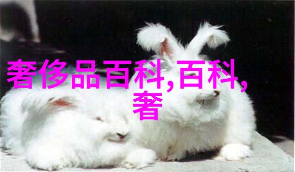 一本书引路三张卡片助力2021年的财富管理方法