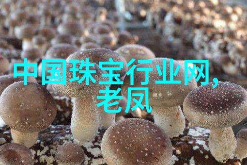 柏林漂流城市探险的艺术