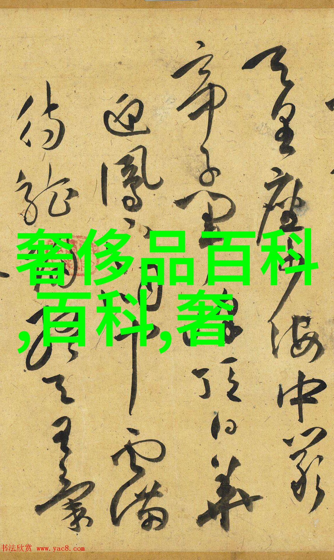 哔哩哔哩美女剪bob头网络红人美妆博主的Bobo头发造型