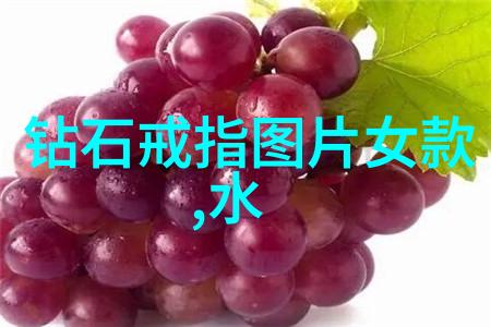 穿越与反穿越时空之轮的秘密舞蹈