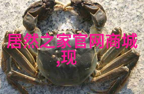 国产一卡2卡3卡四卡哔哩哔哩-解密国产动漫界的数字密码一二三四卡之谜