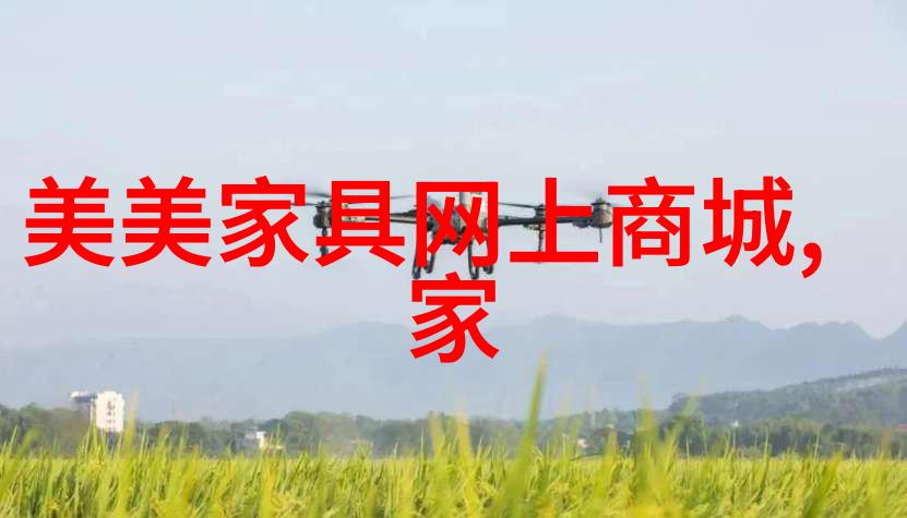 女装时尚搭配艺术的理论与实践探究