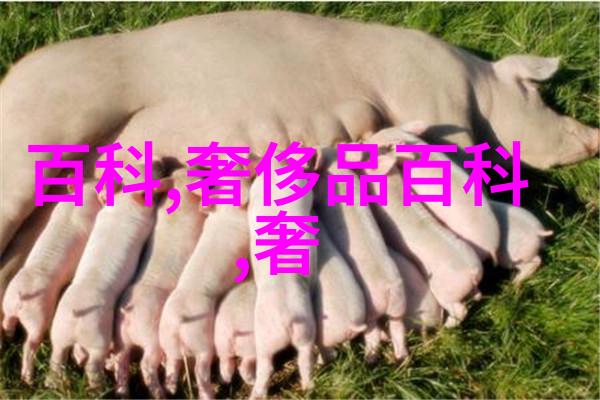 徐若瑄戴上戴比尔斯璀璨珠宝闪耀女神光芒中国珠宝一克价值多少
