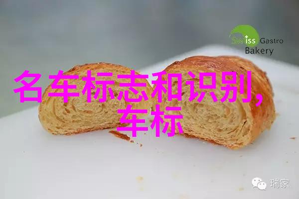 财富之门揭秘08.cn致富网的神奇法则