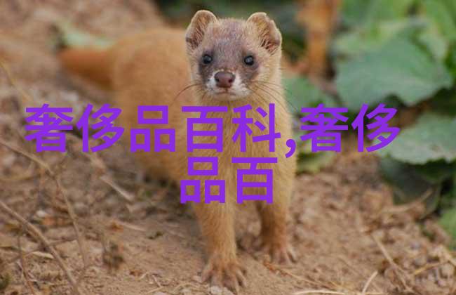 王室档案 王室女人们的奢华珠宝