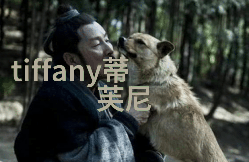 去掉小内打扑克精准策略与巧妙运筹