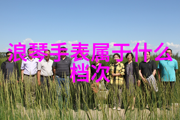 工具使用指南-360root工具一键Root手机安全稳定