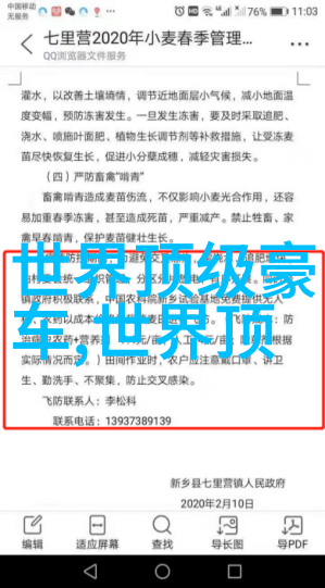 大肉大捧一进一出视频的奇妙世界