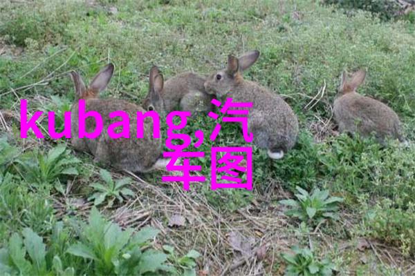 双人床太单调现在流行的上下床书房床结合简直是娱乐城