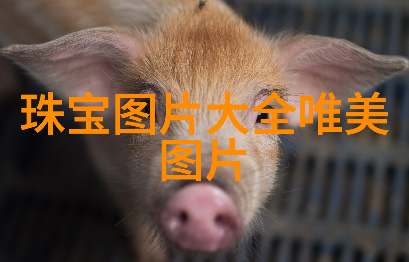 时尚指南男士衣橱的智能伙伴