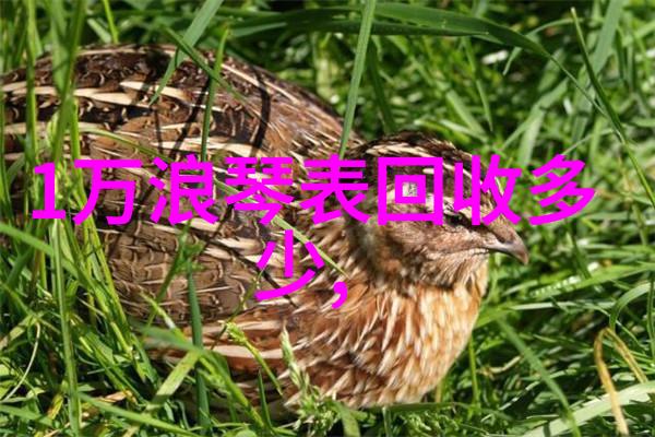 学理发的详细教程从基础剪发技巧到创意造型