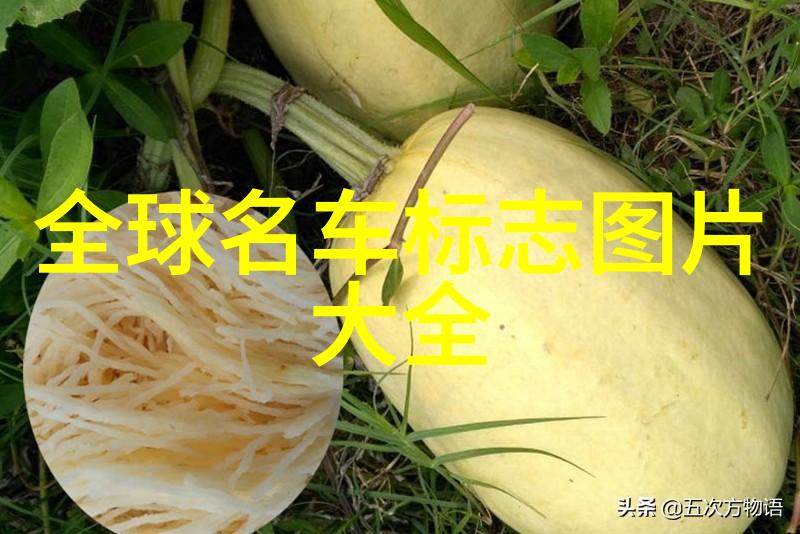 古色古香的璀璨宝藏探秘珠宝玉器的魅力与艺术
