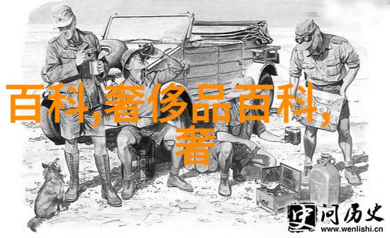 仙境之光守护的铁锤与梦想的翅膀