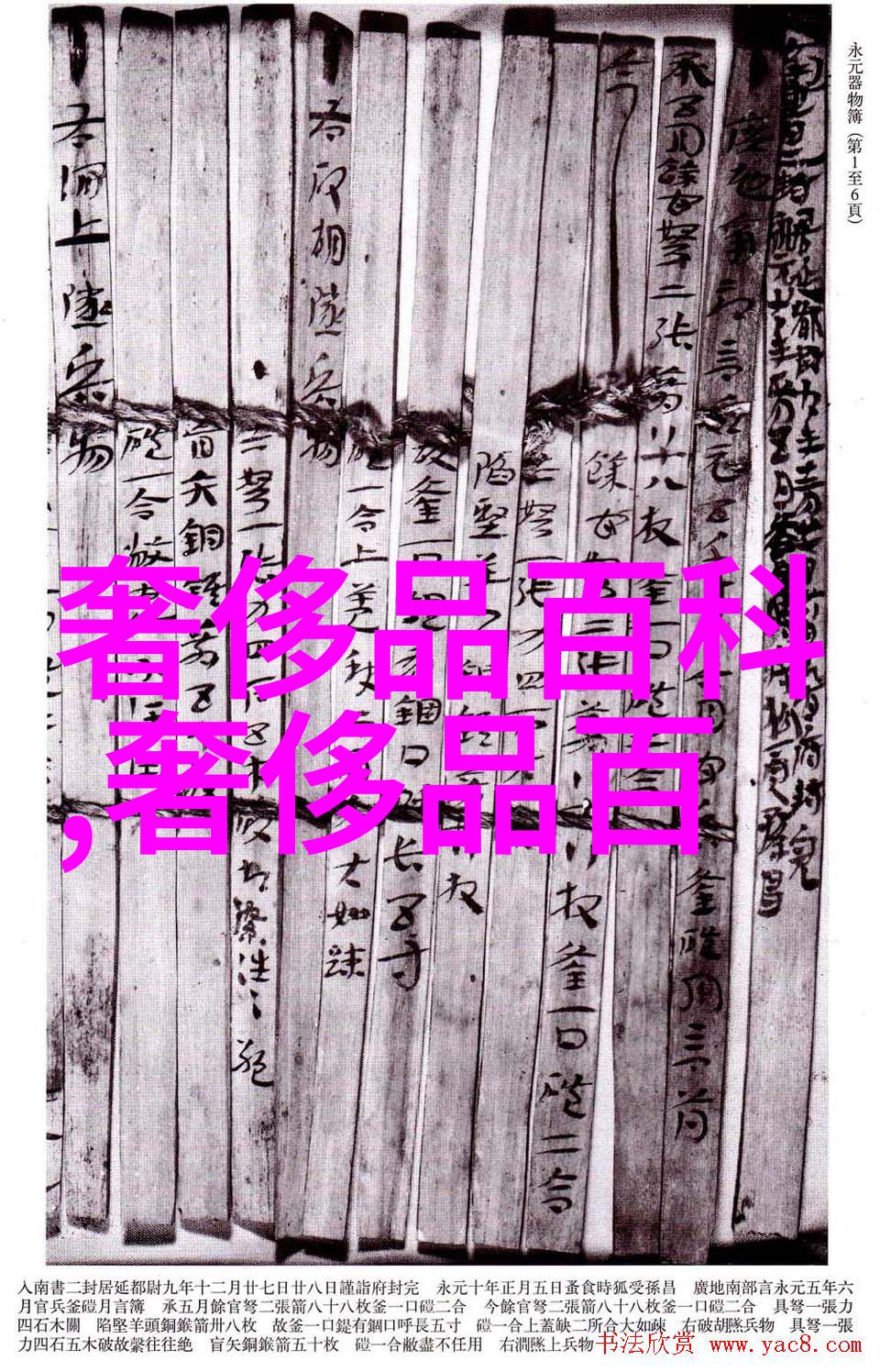 迈开腿让老师尝尝你的森林我的树屋冒险和老师一起探索未知