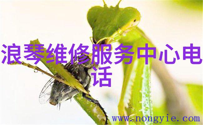 男士发型有哪些从经典剃光到时尚造型探秘男人头上的艺术世界