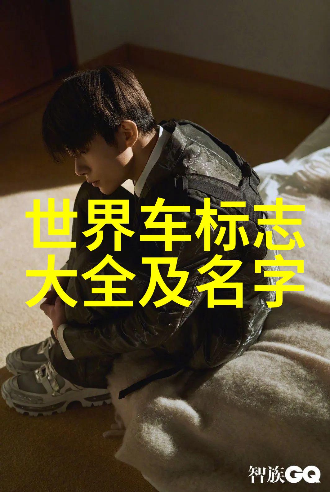 手表带哪只手卡地亚镂空腕表杰作精选点亮你的时尚独特