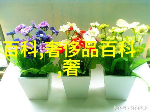 理发美容美发培训学校秀发艺术的精髓探究