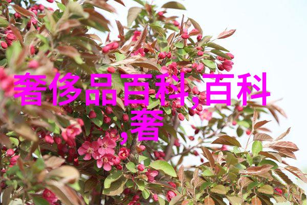 新金梅瓶1至5集完整版探索古装剧中的爱恨情仇