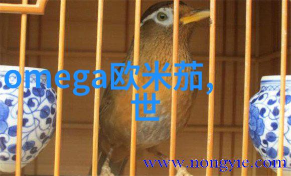 喝水也是一种情趣高颜值玻璃水杯实力证明