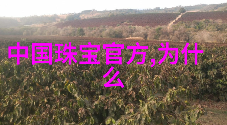 诡域档案神秘事件追踪