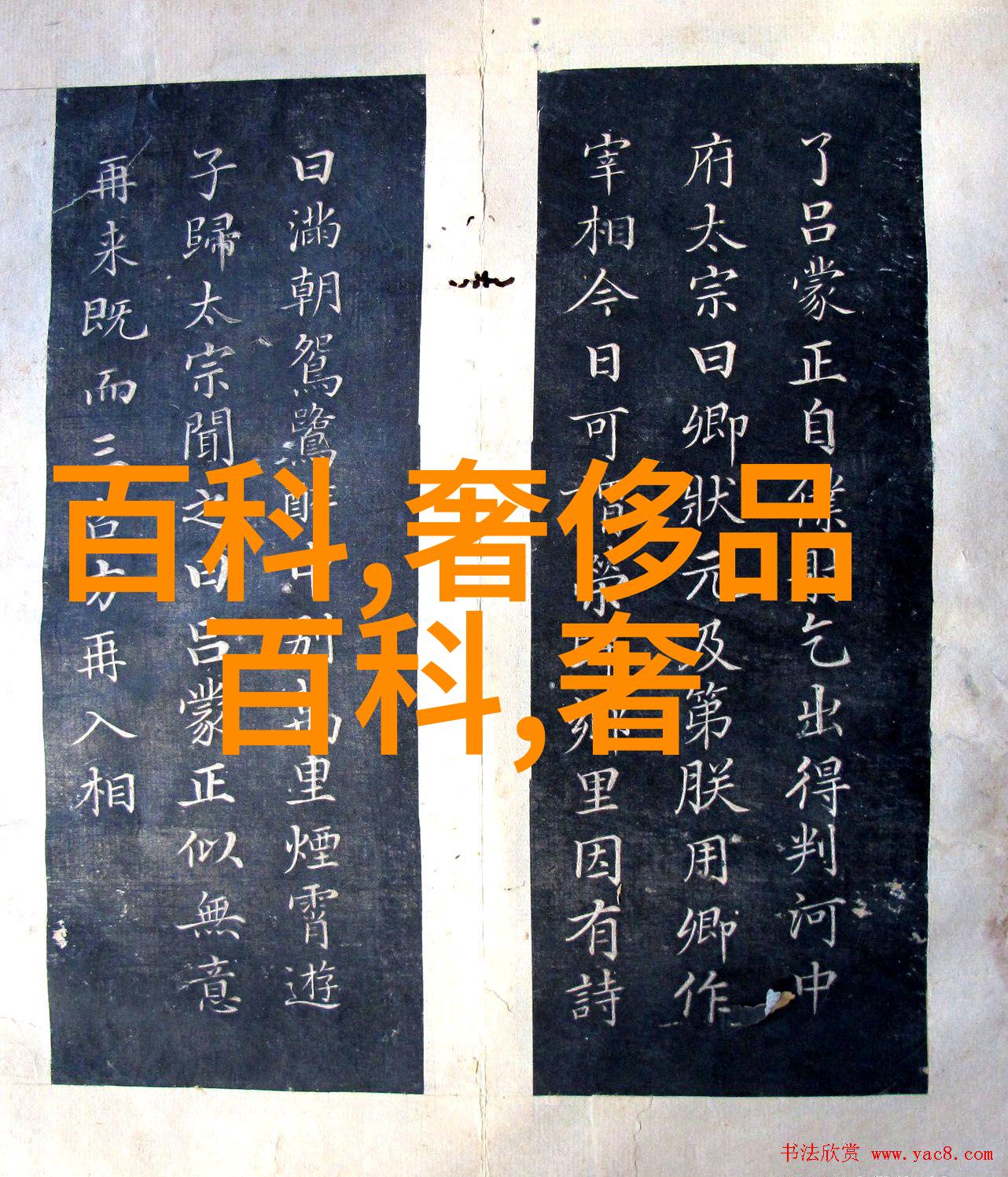 40岁女性最具魅力的短发造型秘诀揭秘