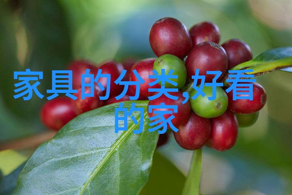 夜晚10大禁用B站免费资源的隐秘边界