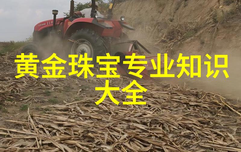 从零到英雄掌握精准技术的完整寸头理发课程