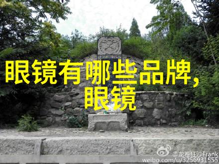 近视防控眼镜的有效性探究基于最新研究进展的系统评价