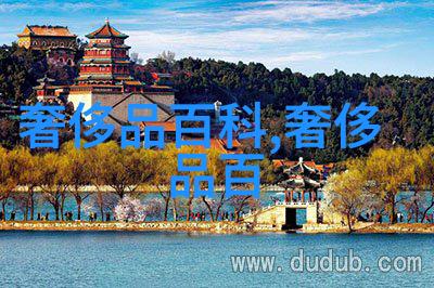 男士发型风潮探索时尚界的各种魅力