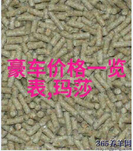 大陆19岁女RAPPER欢迎你-青春嘻哈一位年轻女子的音乐梦想与世界的邀请
