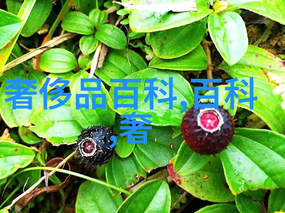 金伯利钻石经典钻戒爱情信物赏析及今日黄金价格查询